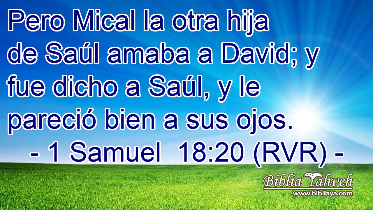 Pero Mical la otra hija de Saúl amaba a David; y fue dicho a Saúl, y le pareció bien a sus ojos.