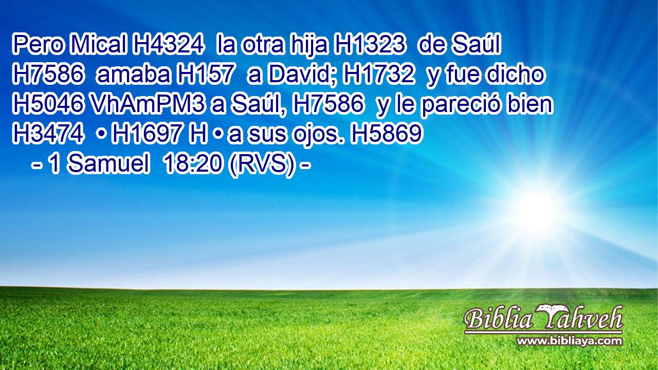 Pero Mical H4324  la otra hija H1323  de Saúl H7586  amaba H157  a David; H1732  y fue dicho H5046 VhAmPM3 a Saúl, H7586  y le pareció bien H3474  • H1697 H • a sus ojos. H5869  