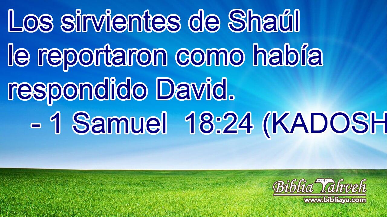  Los sirvientes de Shaúl le reportaron como había respondido David. 