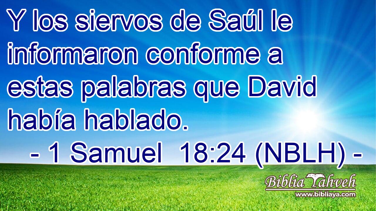  Y los siervos de Saúl le informaron conforme a estas palabras que David había hablado. 
