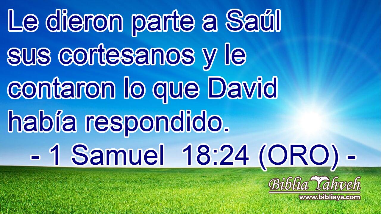  Le dieron parte a Saúl sus cortesanos y le contaron lo que David había respondido. 