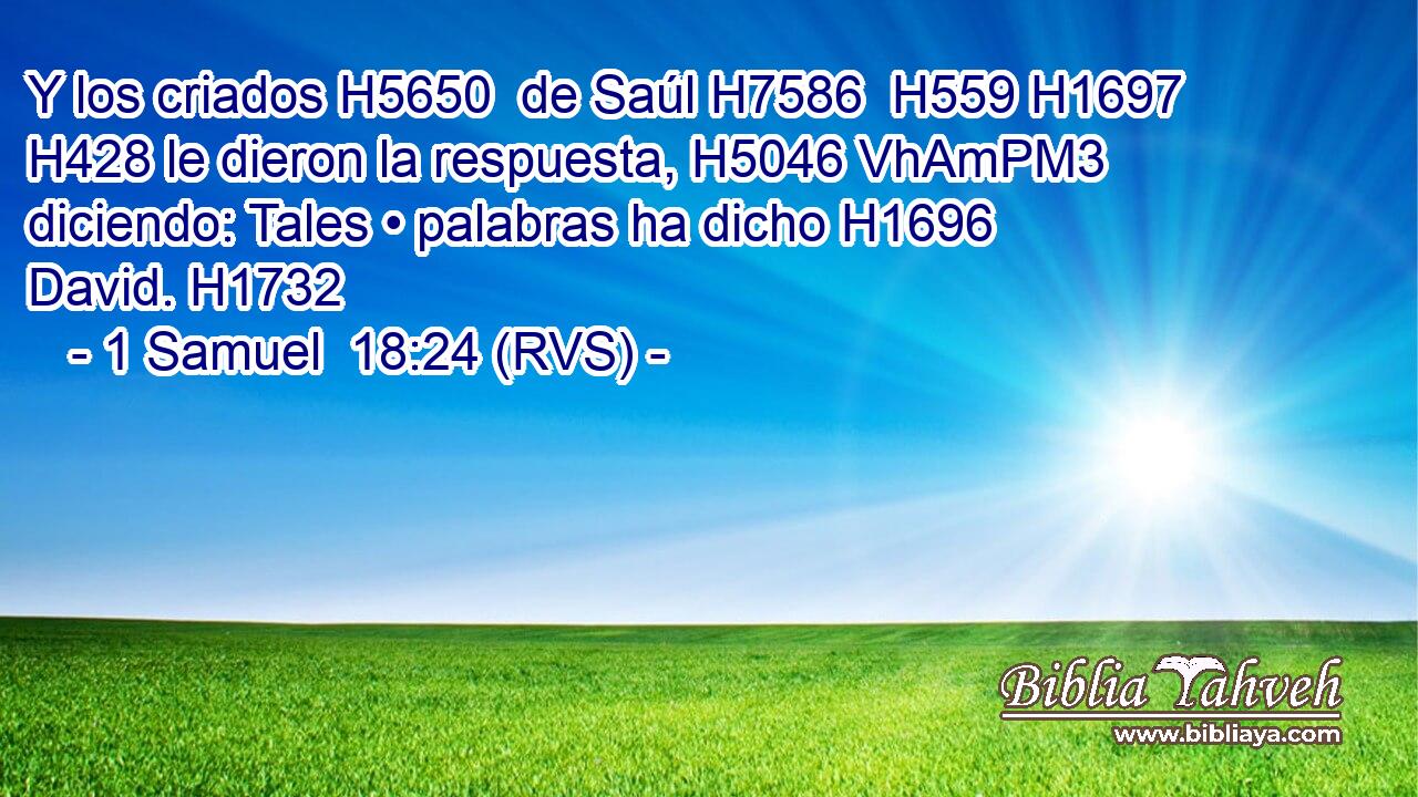 Y los criados H5650  de Saúl H7586  H559 H1697 H428 le dieron la respuesta, H5046 VhAmPM3 diciendo: Tales • palabras ha dicho H1696  David. H1732  