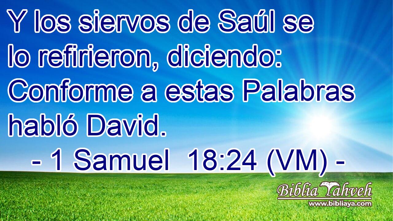  Y los siervos de Saúl se lo refirieron, diciendo: Conforme a estas Palabras habló David. 