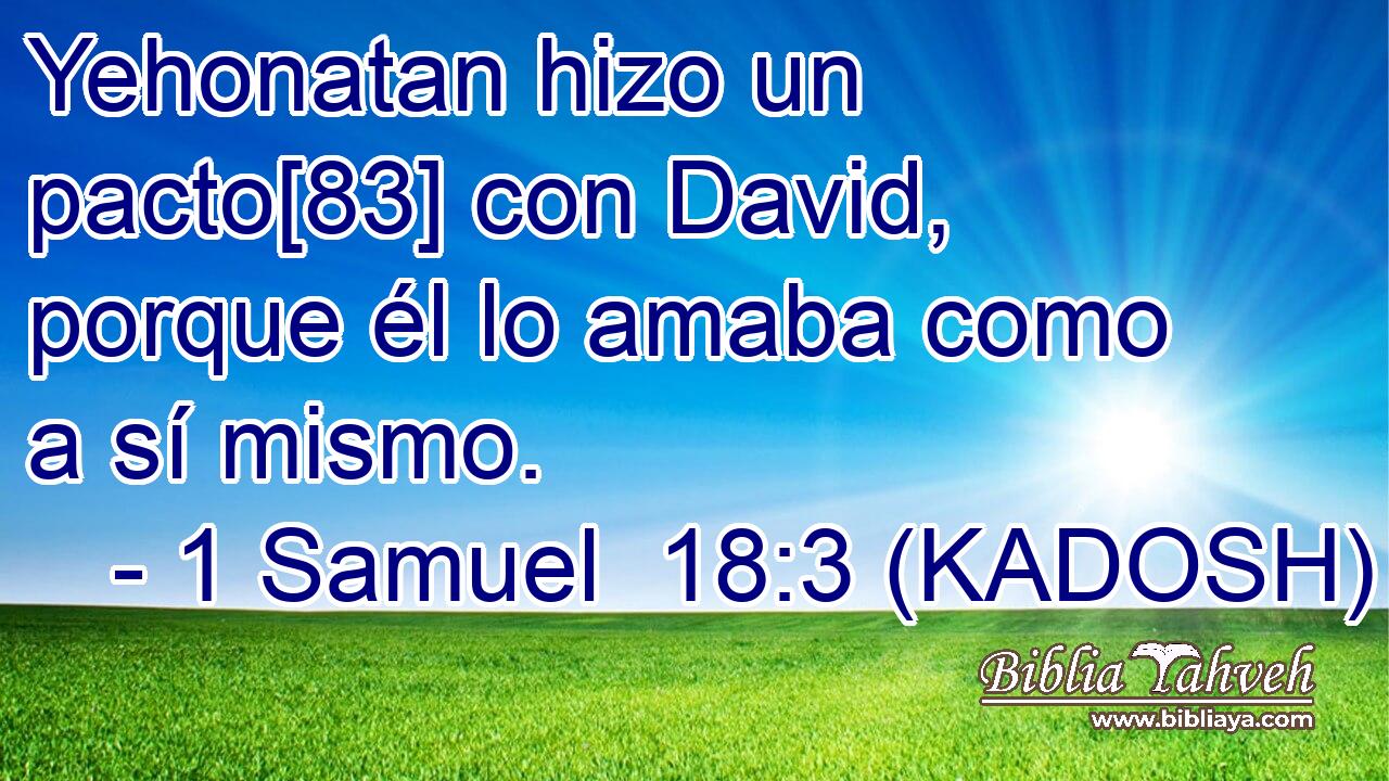  Yehonatan hizo un pacto[83] con David, porque él lo amaba como a sí mismo. 