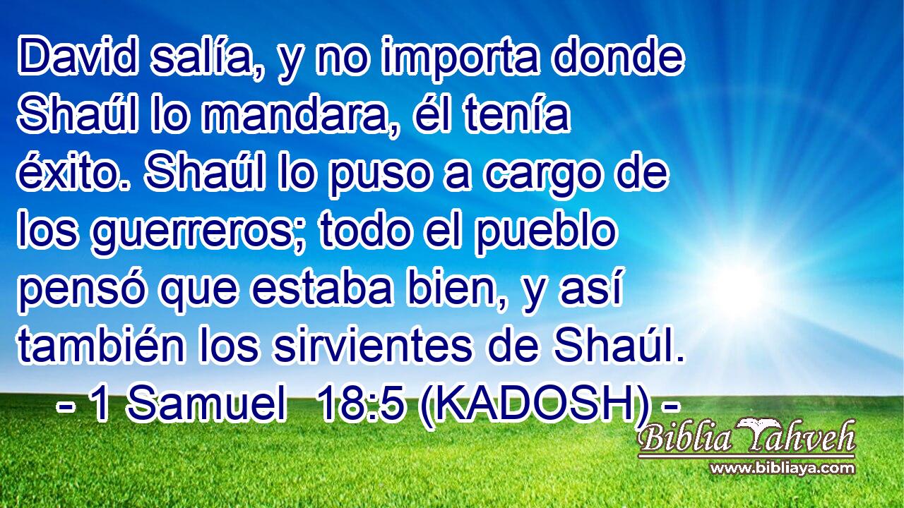  David salía, y no importa donde Shaúl lo mandara, él tenía éxito. Shaúl lo puso a cargo de los guerreros; todo el pueblo pensó que estaba bien, y así también los sirvientes de Shaúl. 