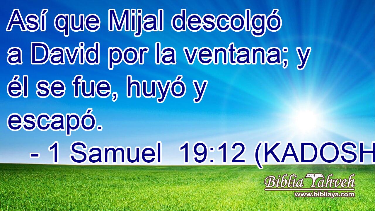  Así que Mijal descolgó a David por la ventana; y él se fue, huyó y escapó. 