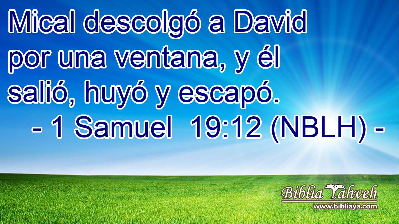  Mical descolgó a David por una ventana, y él salió, huyó y escapó. 