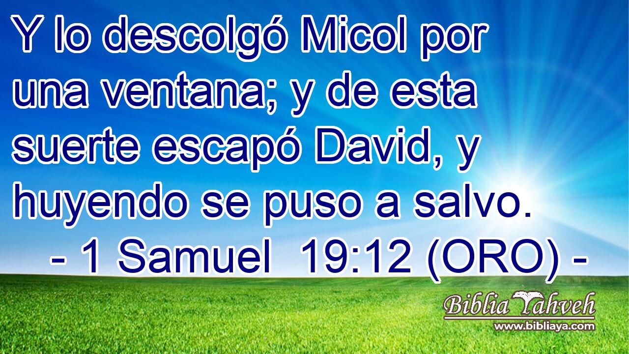  Y lo descolgó Micol por una ventana; y de esta suerte escapó David, y huyendo se puso a salvo. 