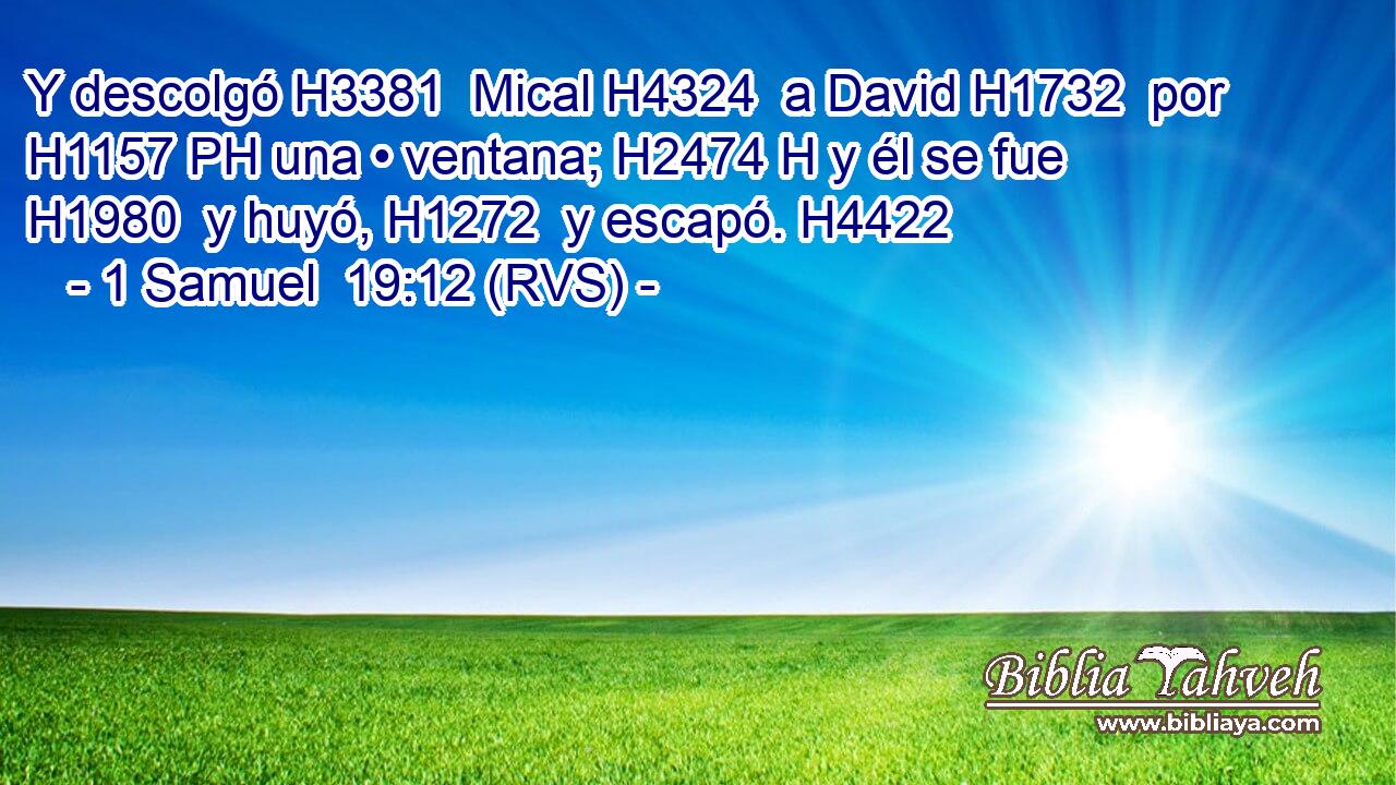 Y descolgó H3381  Mical H4324  a David H1732  por H1157 PH una • ventana; H2474 H y él se fue H1980  y huyó, H1272  y escapó. H4422  