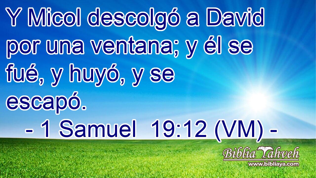  Y Micol descolgó a David por una ventana; y él se fué, y huyó, y se escapó. 