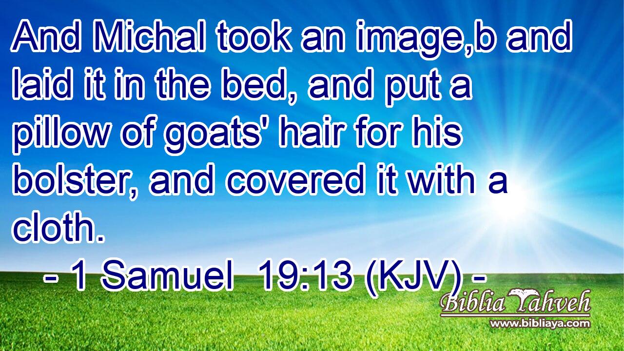 And Michal took an image,b and laid it in the bed, and put a pillow of goats' hair for his bolster, and covered it with a cloth.