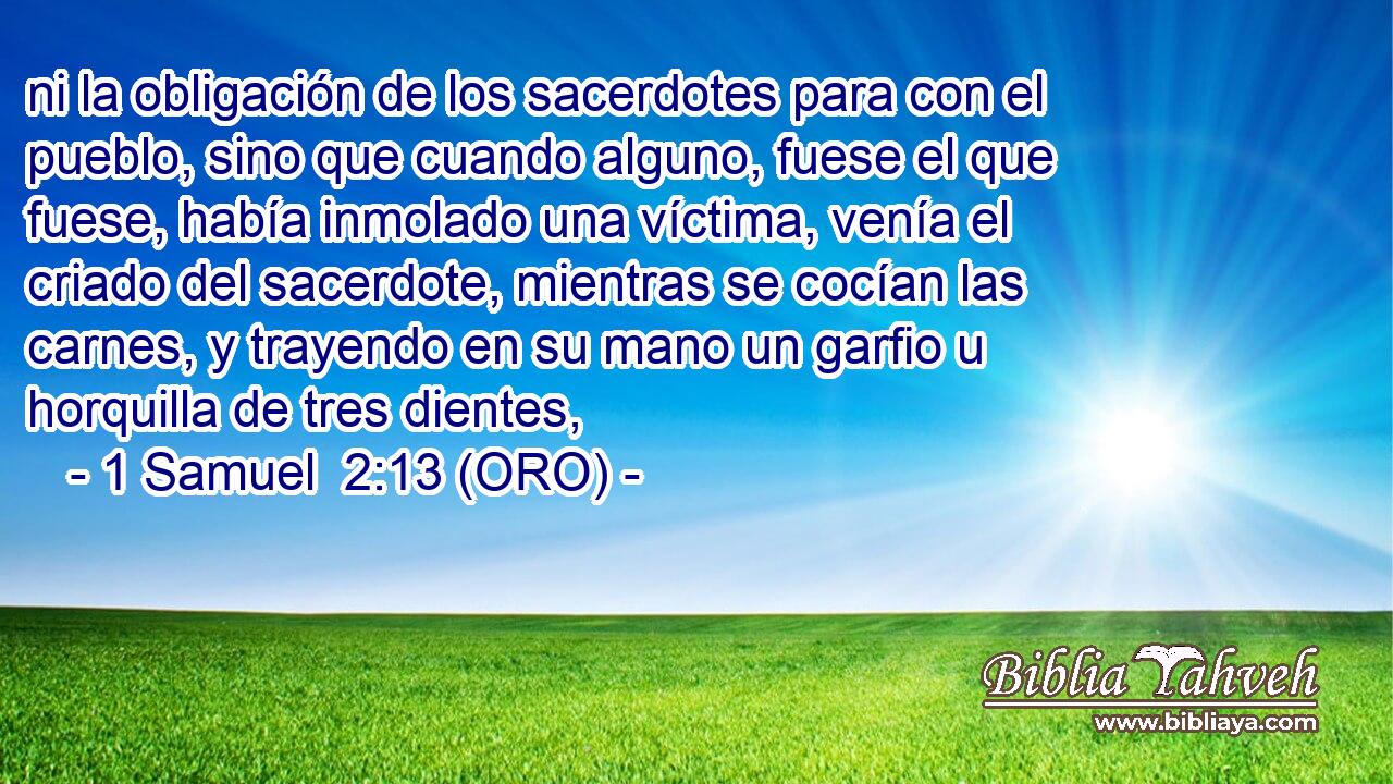  ni la obligación de los sacerdotes para con el pueblo, sino que cuando alguno, fuese el que fuese, había inmolado una víctima, venía el criado del sacerdote, mientras se cocían las carnes, y trayendo en su mano un garfio u horquilla de tres dientes, 