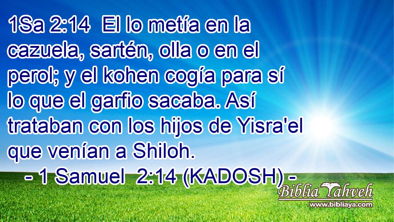  El lo metía en la cazuela, sartén, olla o en el perol; y el kohen cogía para sí lo que el garfio sacaba. Así trataban con los hijos de Yisra'el que venían a Shiloh. 