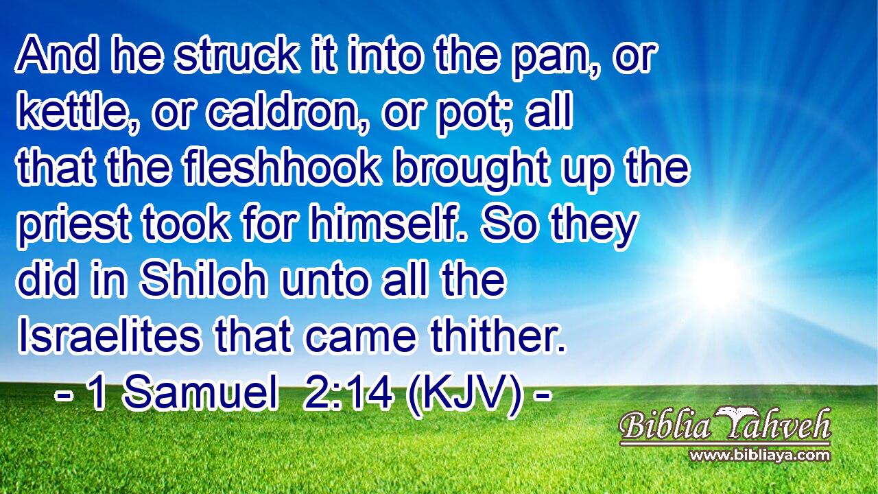 And he struck it into the pan, or kettle, or caldron, or pot; all that the fleshhook brought up the priest took for himself. So they did in Shiloh unto all the Israelites that came thither.