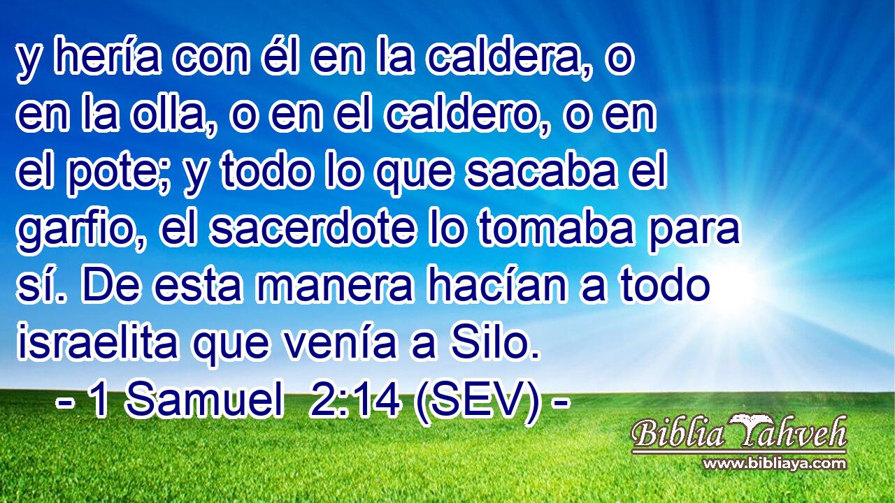 y hería con él en la caldera, o en la olla, o en el caldero, o en el pote; y todo lo que sacaba el garfio, el sacerdote lo tomaba para sí. De esta manera hacían a todo israelita que venía a Silo.