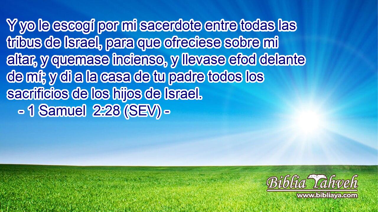 Y yo le escogí por mi sacerdote entre todas las tribus de Israel, para que ofreciese sobre mi altar, y quemase incienso, y llevase efod delante de mí; y di a la casa de tu padre todos los sacrificios de los hijos de Israel.