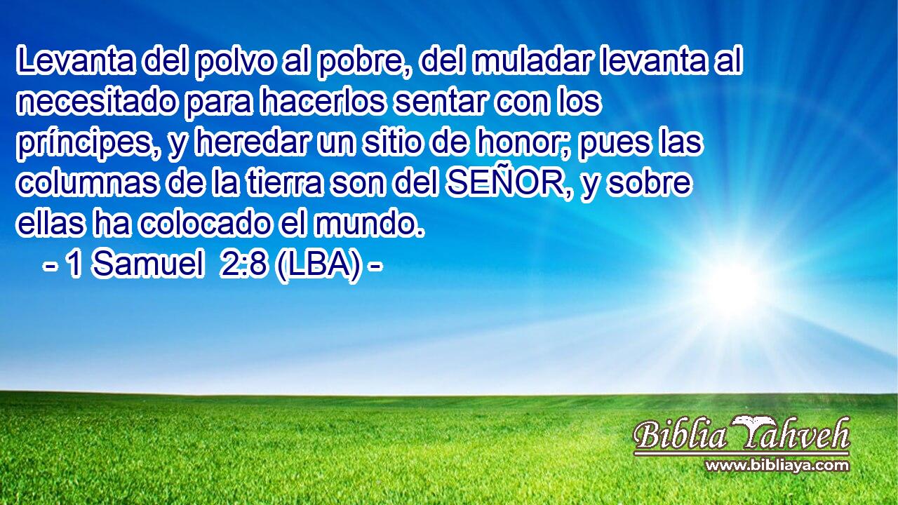Levanta del polvo al pobre, del muladar levanta al necesitado para hacerlos sentar con los príncipes, y heredar un sitio de honor; pues las columnas de la tierra son del SEÑOR, y sobre ellas ha colocado el mundo.