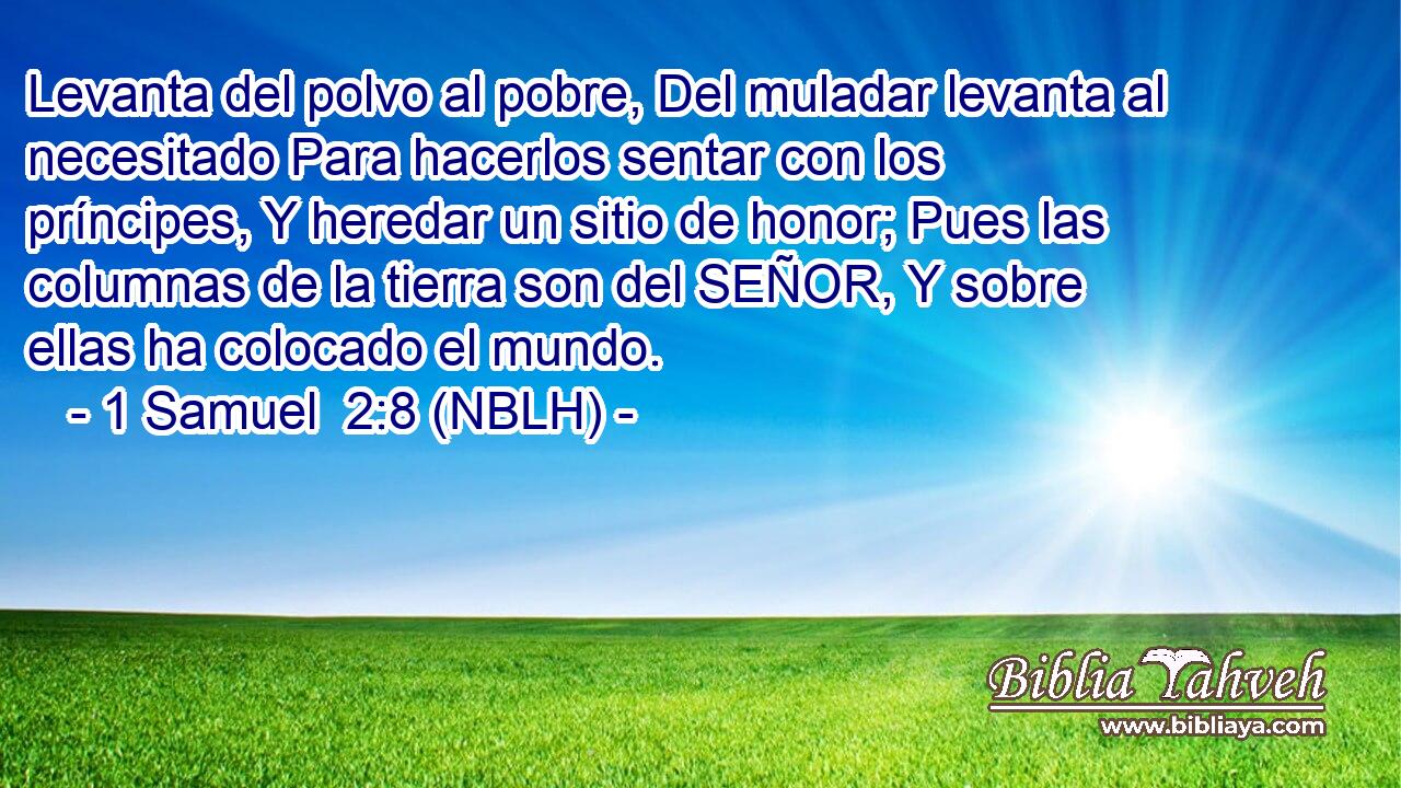  Levanta del polvo al pobre, Del muladar levanta al necesitado Para hacerlos sentar con los príncipes, Y heredar un sitio de honor; Pues las columnas de la tierra son del SEÑOR, Y sobre ellas ha colocado el mundo. 