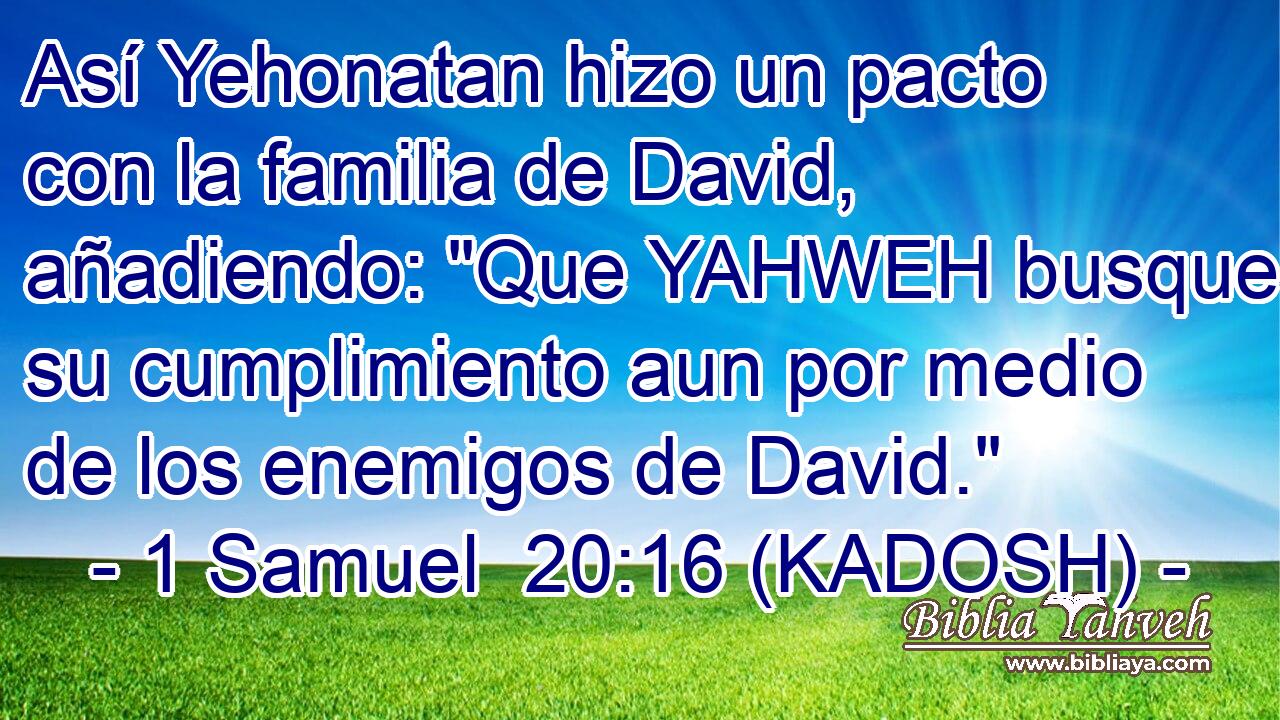  Así Yehonatan hizo un pacto con la familia de David, añadiendo: 