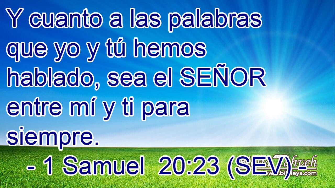 Y cuanto a las palabras que yo y tú hemos hablado, sea el SEÑOR entre mí y ti para siempre.