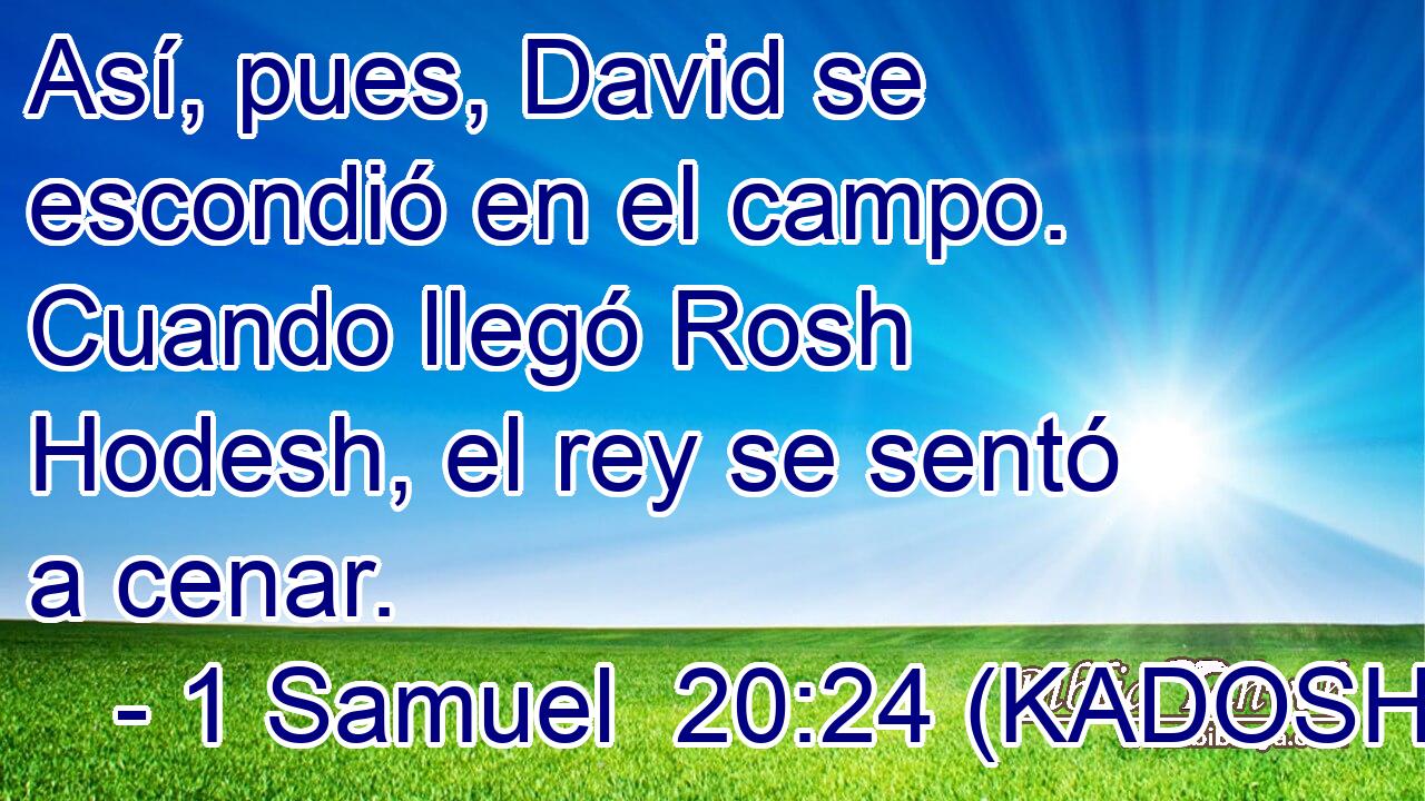  Así, pues, David se escondió en el campo. Cuando llegó Rosh Hodesh, el rey se sentó a cenar. 