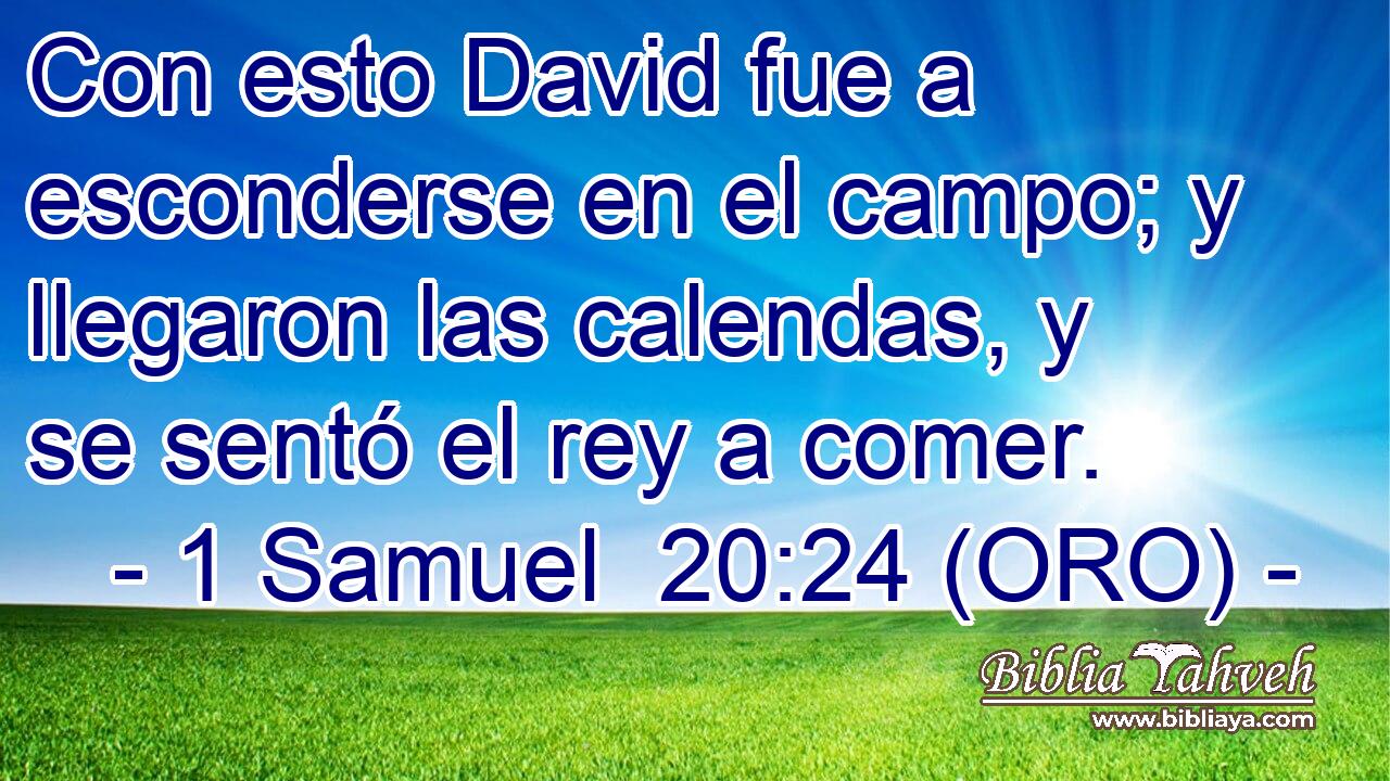  Con esto David fue a esconderse en el campo; y llegaron las calendas, y se sentó el rey a comer. 