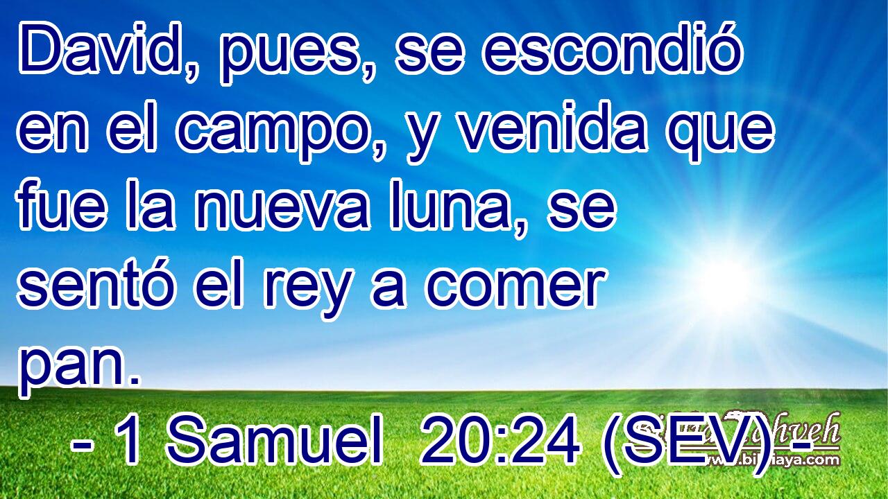 David, pues, se escondió en el campo, y venida que fue la nueva luna, se sentó el rey a comer pan.