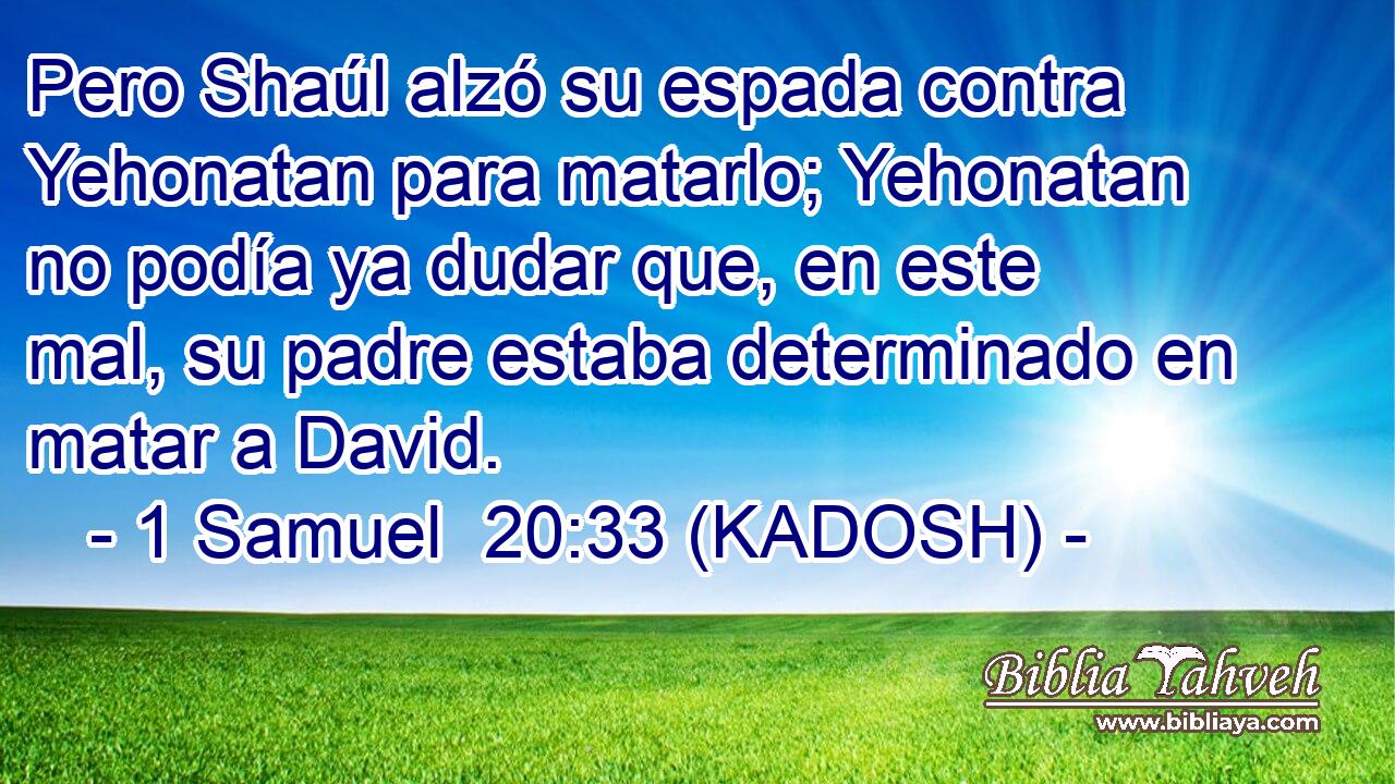  Pero Shaúl alzó su espada contra Yehonatan para matarlo; Yehonatan no podía ya dudar que, en este mal, su padre estaba determinado en matar a David. 