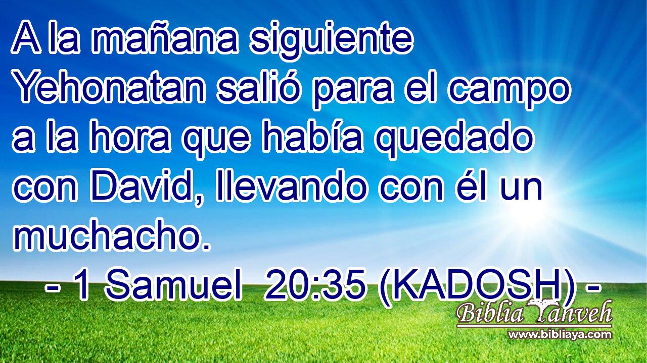  A la mañana siguiente Yehonatan salió para el campo a la hora que había quedado con David, llevando con él un muchacho. 