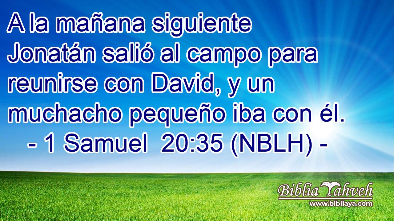  A la mañana siguiente Jonatán salió al campo para reunirse con David, y un muchacho pequeño iba con él. 