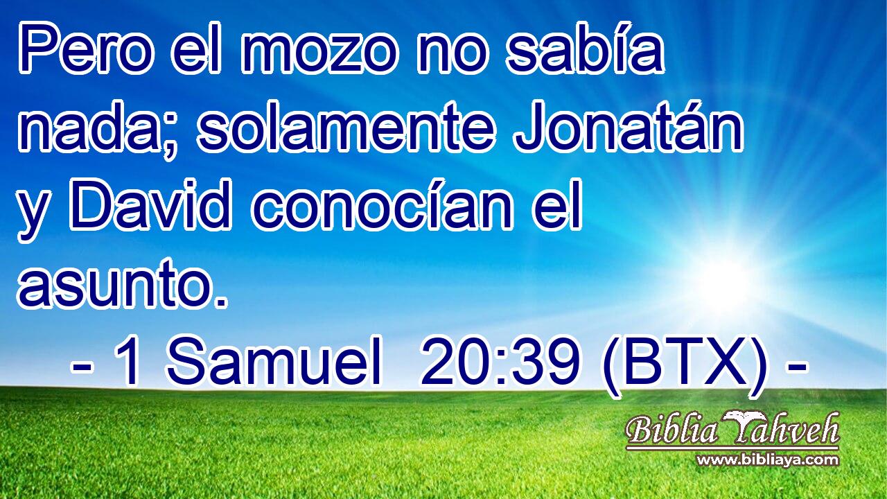 Pero el mozo no sabía nada; solamente Jonatán y David conocían el asunto.