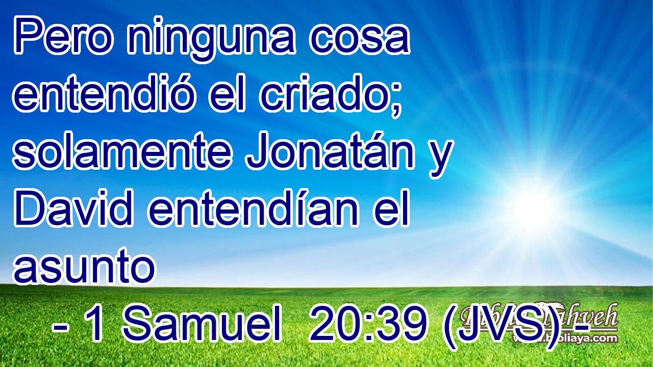 Pero ninguna cosa entendió el criado; solamente Jonatán y David entendían el asunto