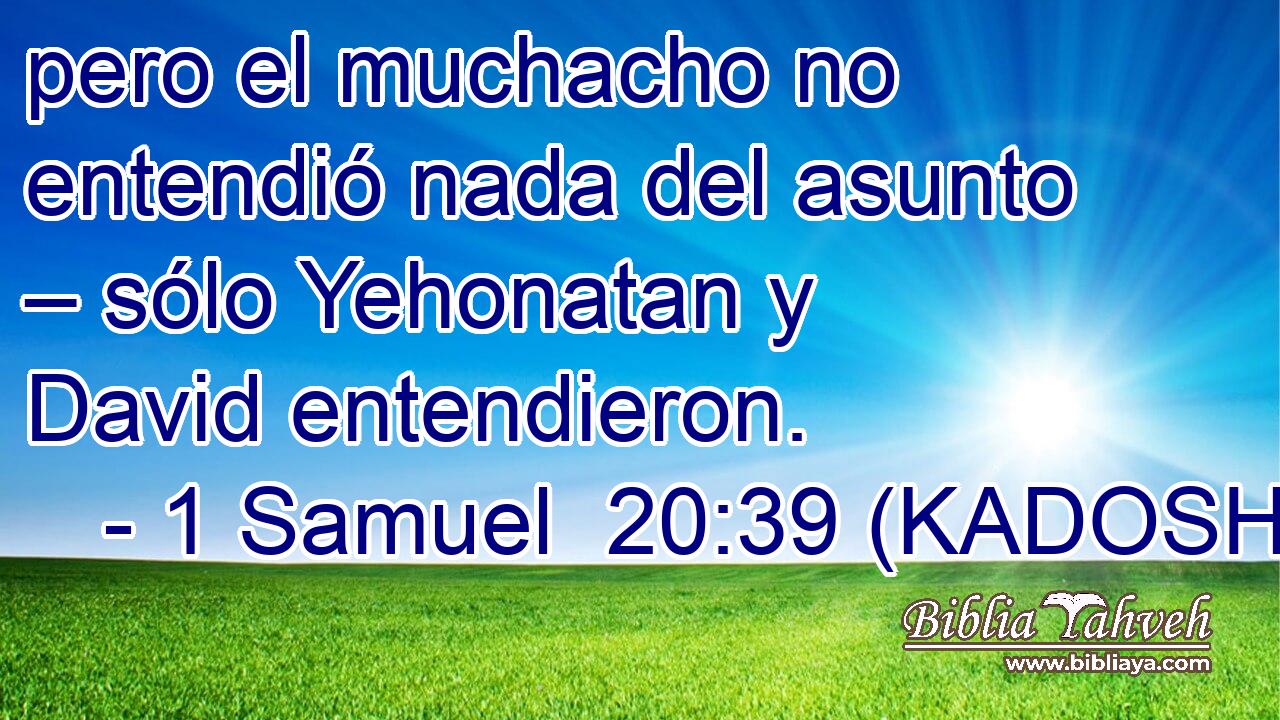  pero el muchacho no entendió nada del asunto – sólo Yehonatan y David entendieron. 