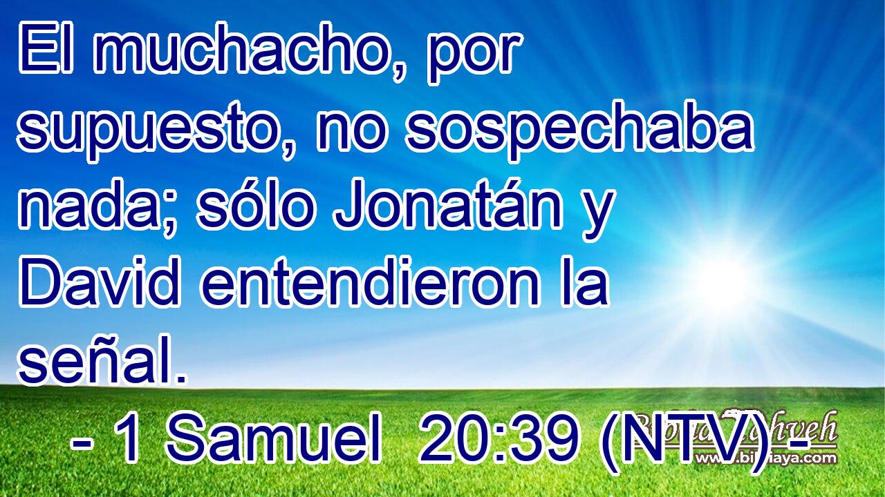 El muchacho, por supuesto, no sospechaba nada; sólo Jonatán y David entendieron la señal.