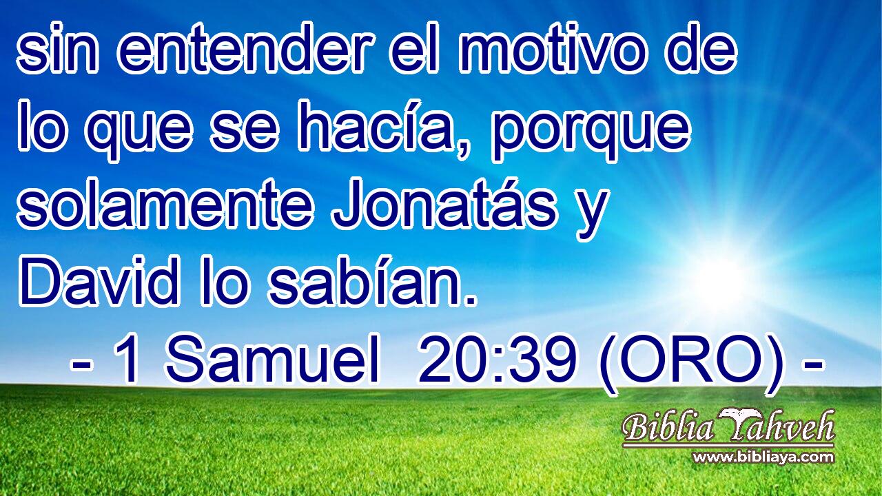  sin entender el motivo de lo que se hacía, porque solamente Jonatás y David lo sabían. 