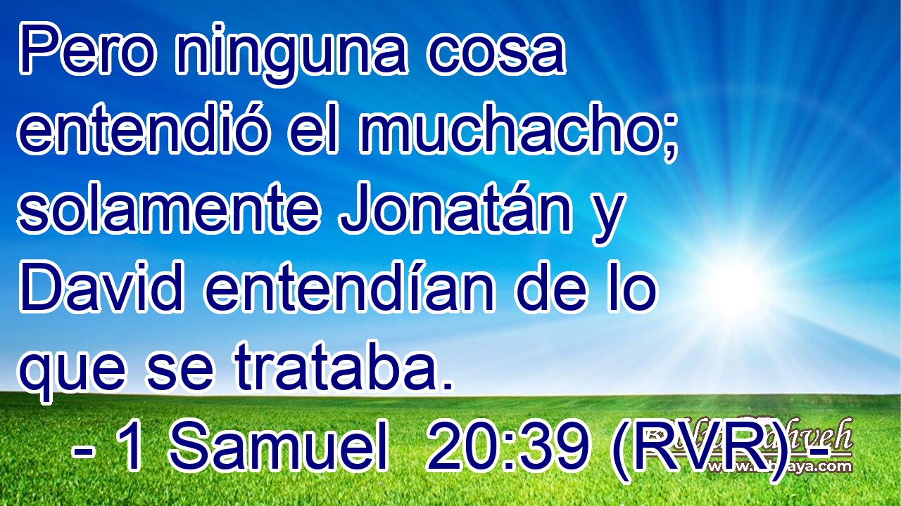 Pero ninguna cosa entendió el muchacho; solamente Jonatán y David entendían de lo que se trataba.