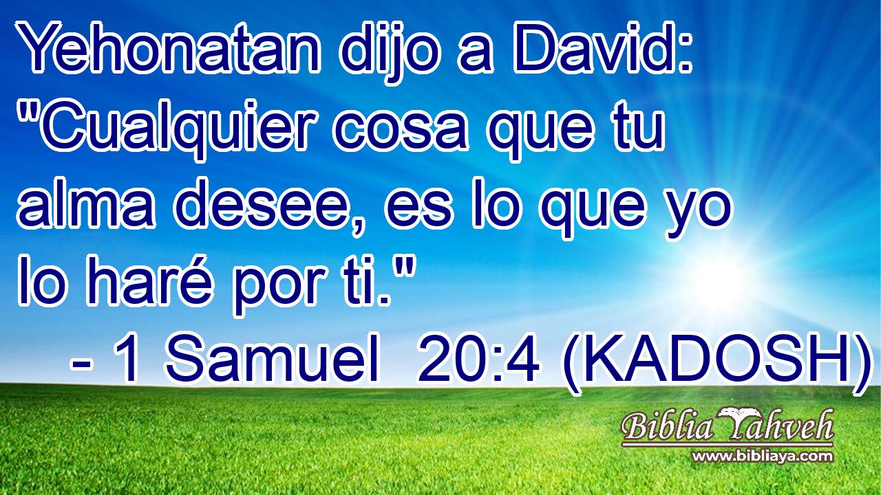  Yehonatan dijo a David: 