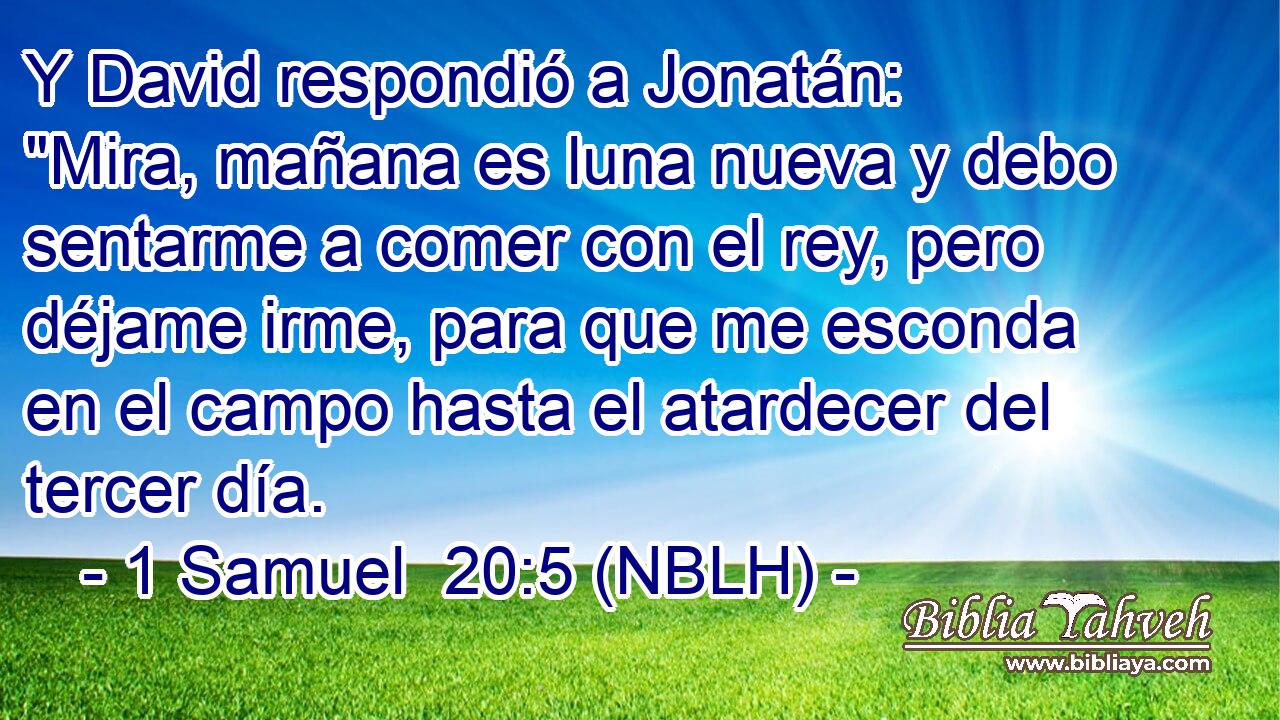  Y David respondió a Jonatán: 