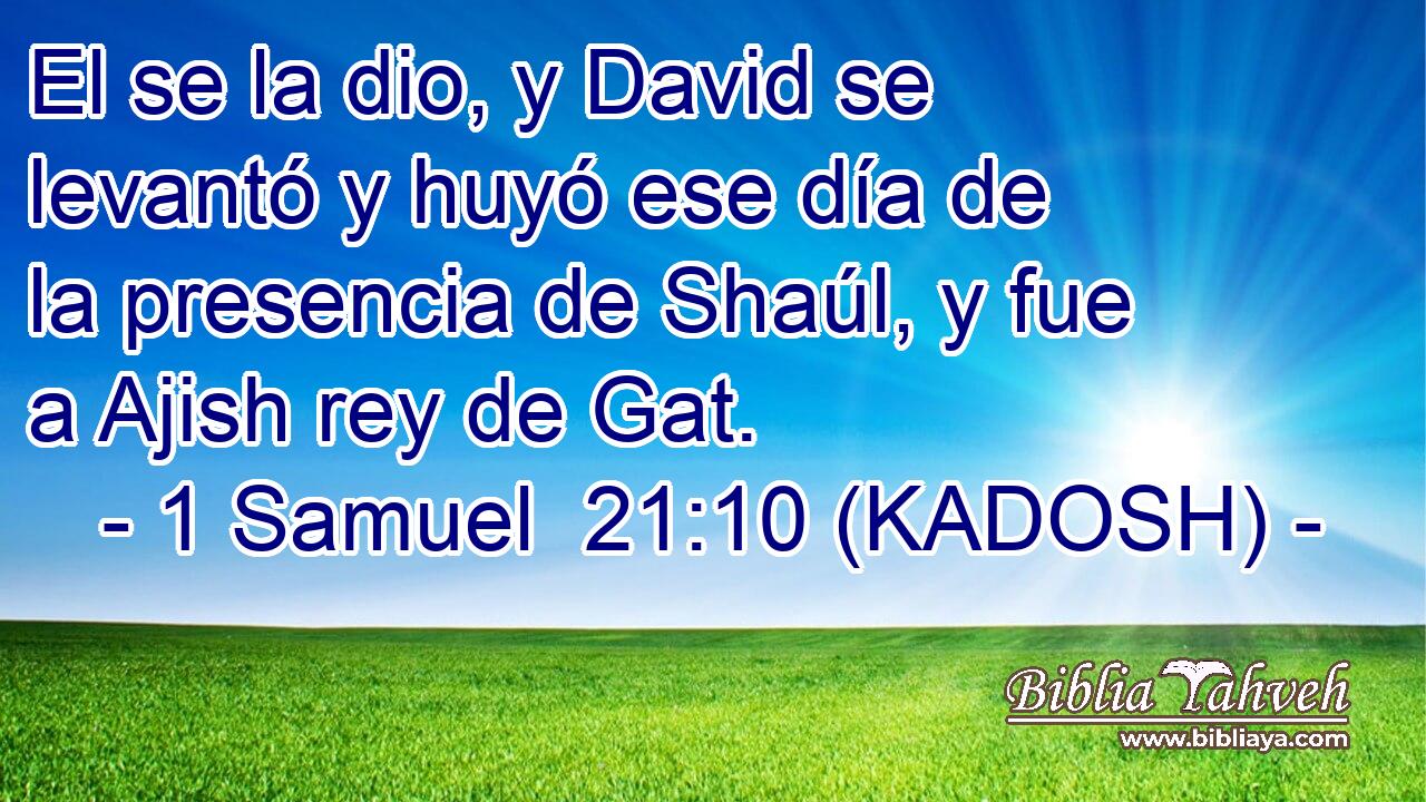  El se la dio, y David se levantó y huyó ese día de la presencia de Shaúl, y fue a Ajish rey de Gat. 