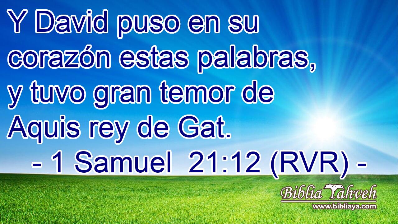 Y David puso en su corazón estas palabras, y tuvo gran temor de Aquis rey de Gat.