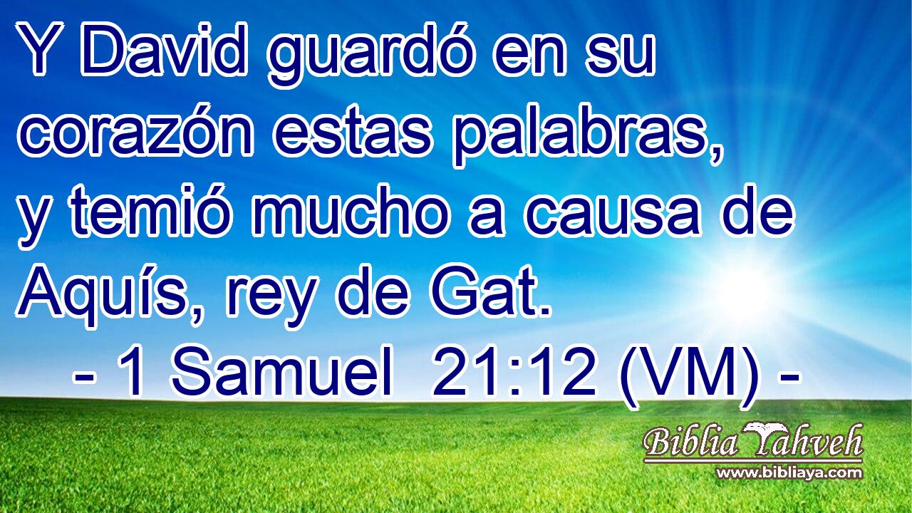  Y David guardó en su corazón estas palabras, y temió mucho a causa de Aquís, rey de Gat. 