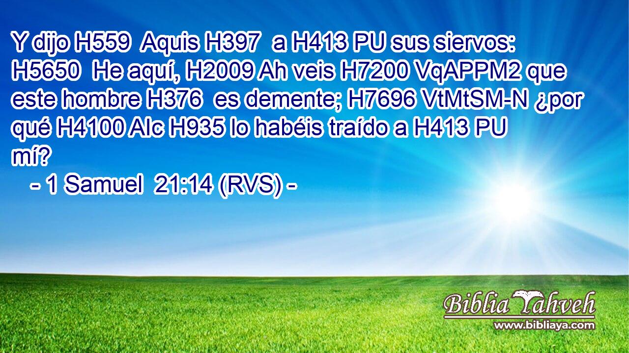 Y dijo H559  Aquis H397  a H413 PU sus siervos: H5650  He aquí, H2009 Ah veis H7200 VqAPPM2 que este hombre H376  es demente; H7696 VtMtSM-N ¿por qué H4100 AIc H935 lo habéis traído a H413 PU mí? 