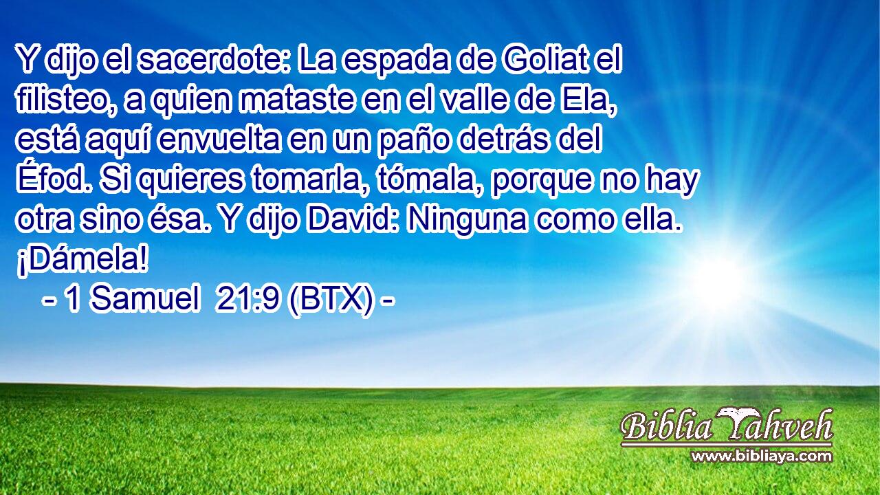 Y dijo el sacerdote: La espada de Goliat el filisteo, a quien mataste en el valle de Ela, está aquí envuelta en un paño detrás del Éfod. Si quieres tomarla, tómala, porque no hay otra sino ésa. Y dijo David: Ninguna como ella. ¡Dámela!