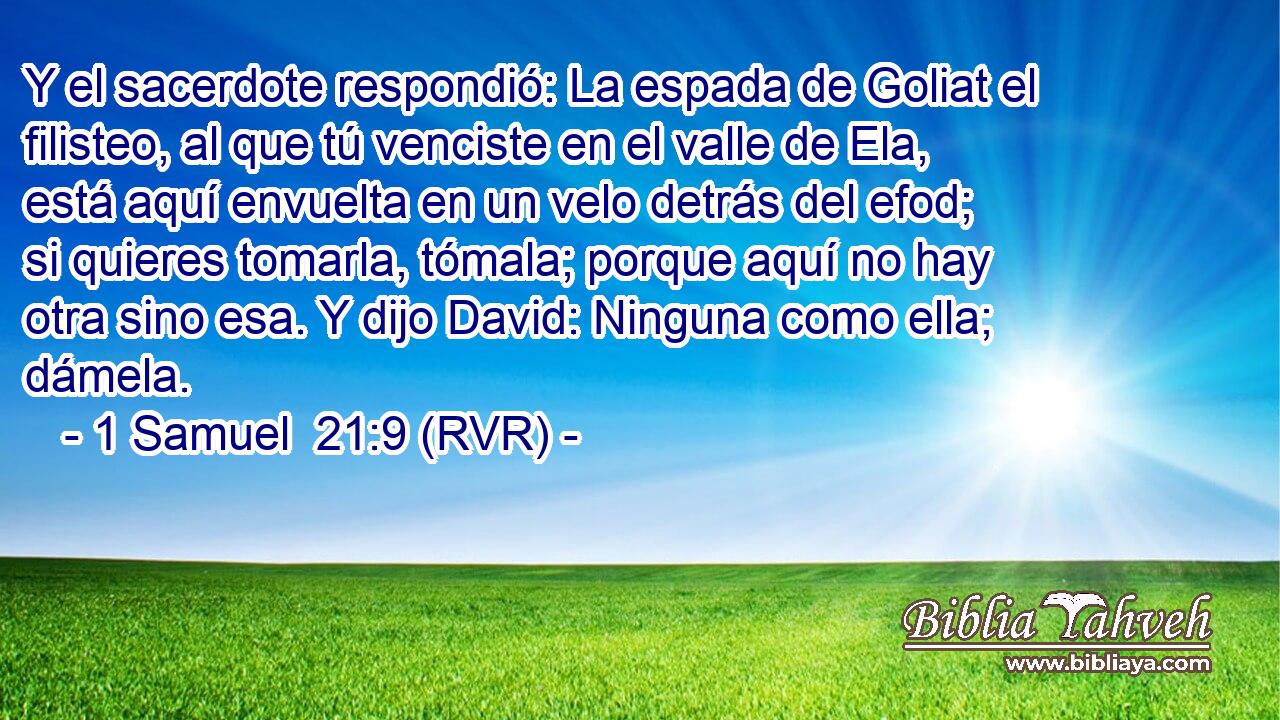 Y el sacerdote respondió: La espada de Goliat el filisteo, al que tú venciste en el valle de Ela, está aquí envuelta en un velo detrás del efod; si quieres tomarla, tómala; porque aquí no hay otra sino esa. Y dijo David: Ninguna como ella; dámela.