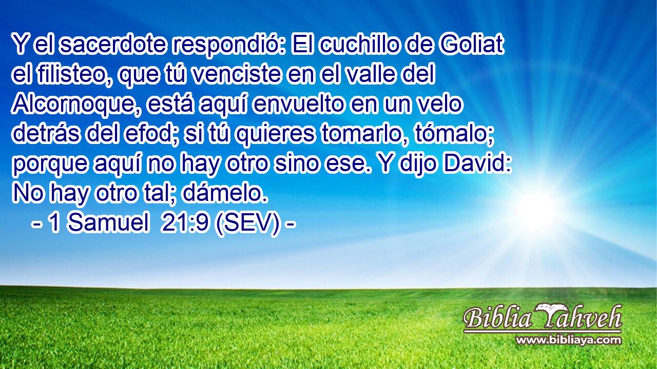 Y el sacerdote respondió: El cuchillo de Goliat el filisteo, que tú venciste en el valle del Alcornoque, está aquí envuelto en un velo detrás del efod; si tú quieres tomarlo, tómalo; porque aquí no hay otro sino ese. Y dijo David: No hay otro tal; dámelo.