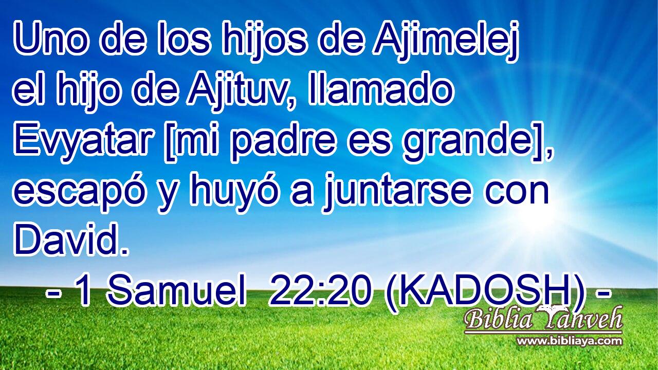  Uno de los hijos de Ajimelej el hijo de Ajituv, llamado Evyatar [mi padre es grande], escapó y huyó a juntarse con David. 