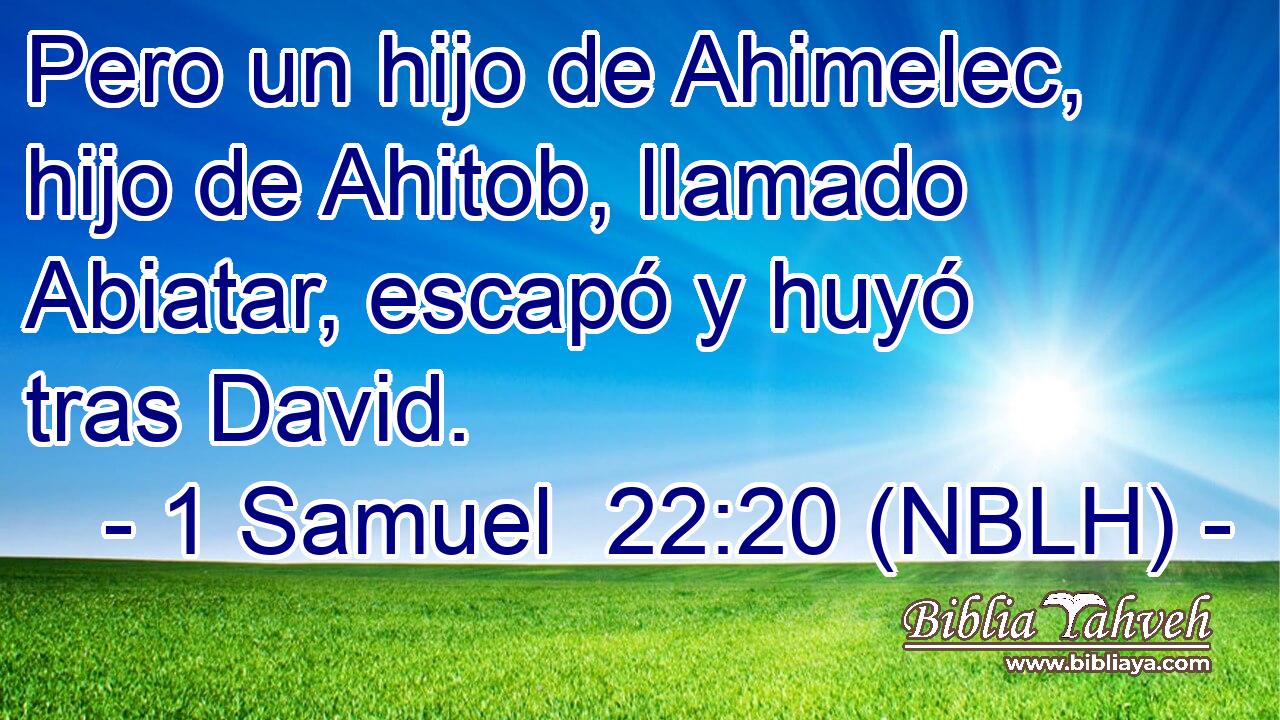 Pero un hijo de Ahimelec, hijo de Ahitob, llamado Abiatar, escapó y huyó tras David. 