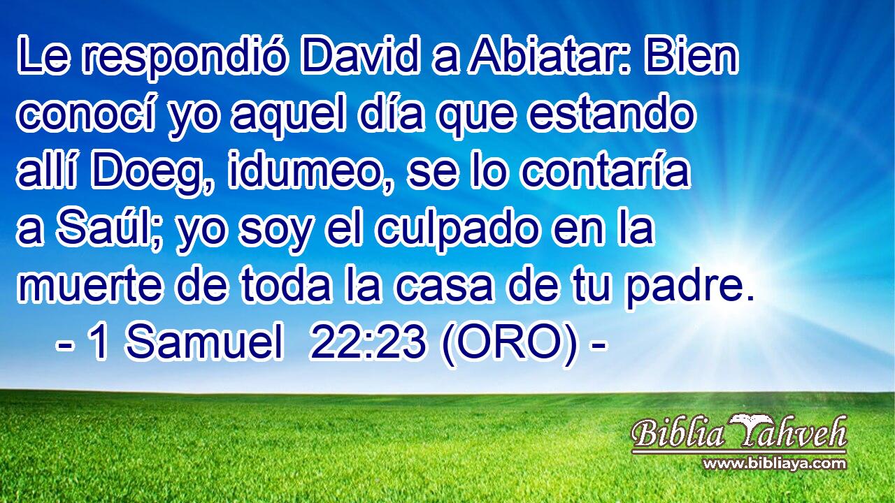  Le respondió David a Abiatar: Bien conocí yo aquel día que estando allí Doeg, idumeo, se lo contaría a Saúl; yo soy el culpado en la muerte de toda la casa de tu padre. 
