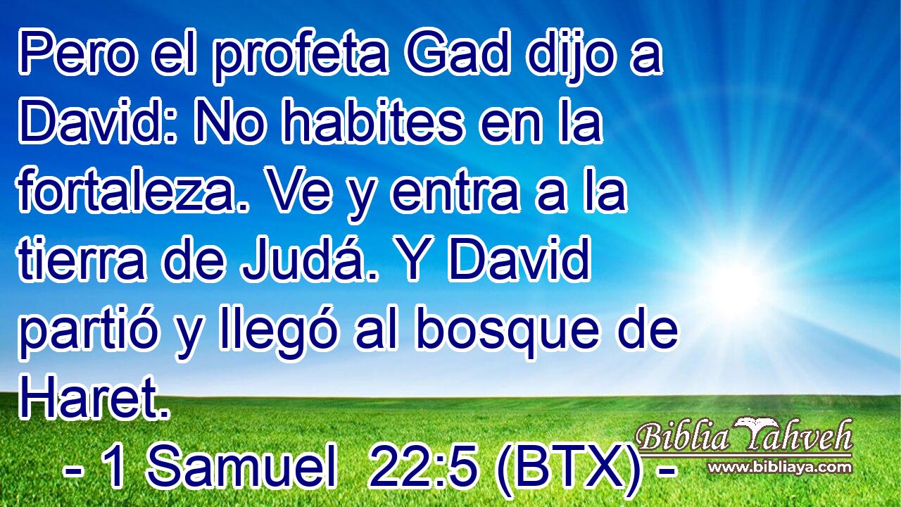 Pero el profeta Gad dijo a David: No habites en la fortaleza. Ve y entra a la tierra de Judá. Y David partió y llegó al bosque de Haret.