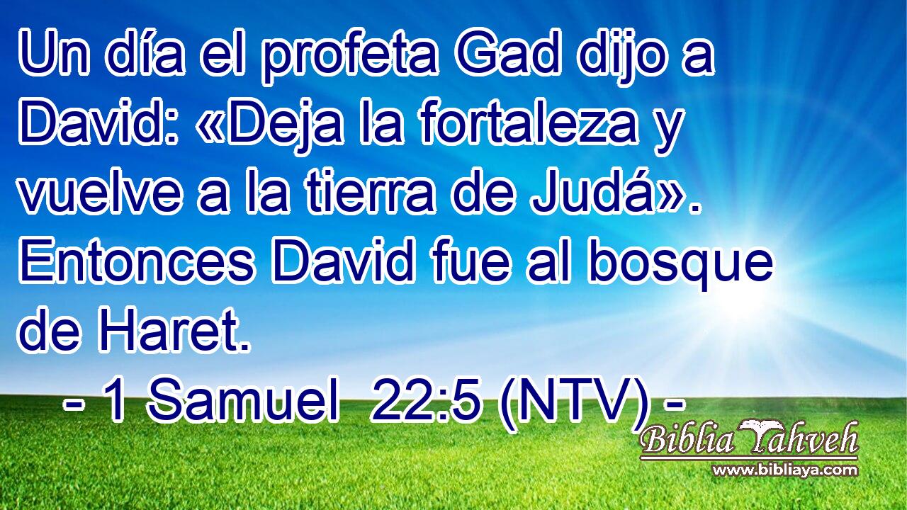 Un día el profeta Gad dijo a David: «Deja la fortaleza y vuelve a la tierra de Judá». Entonces David fue al bosque de Haret.